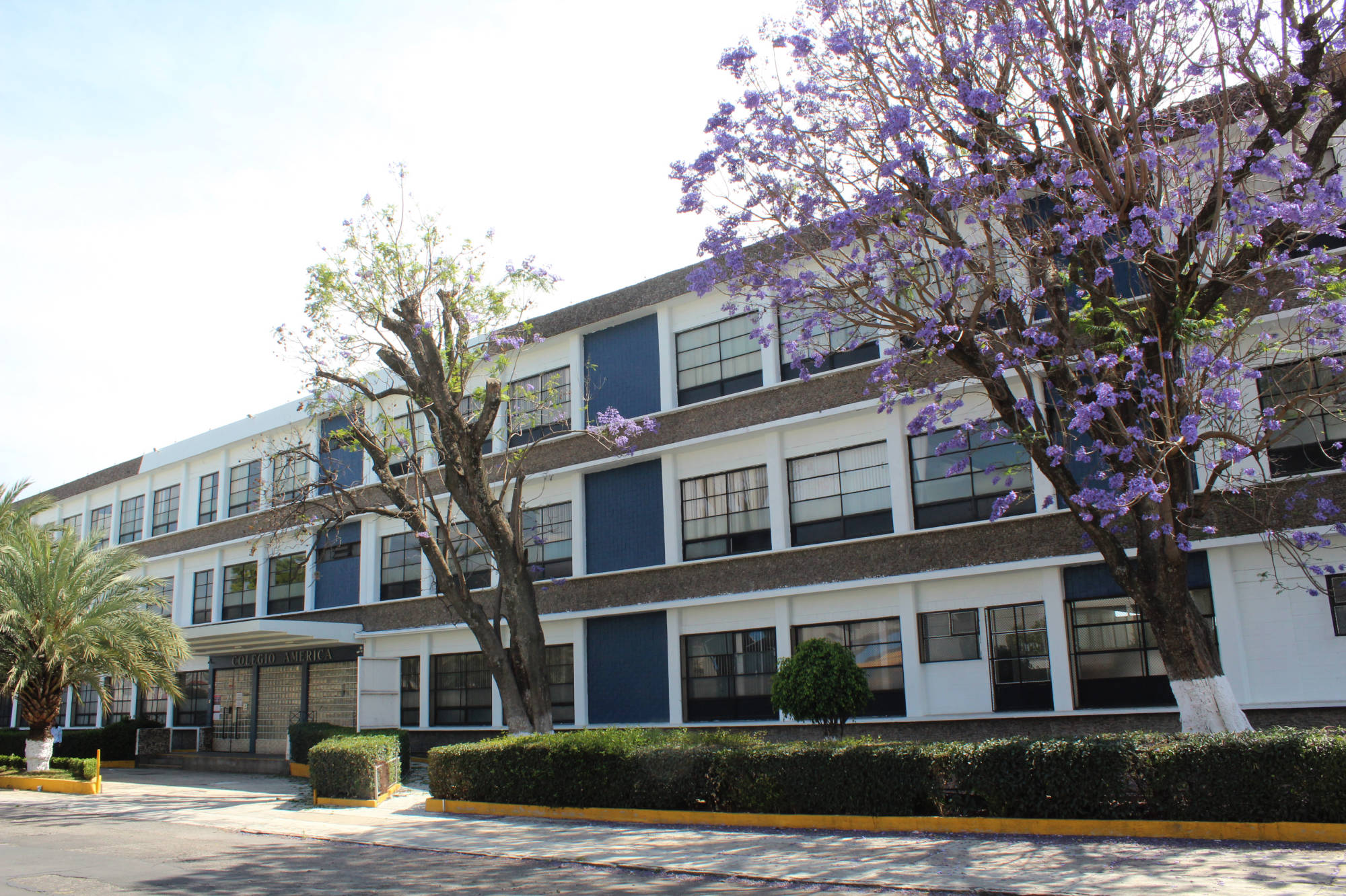 Galería de actividades escolares